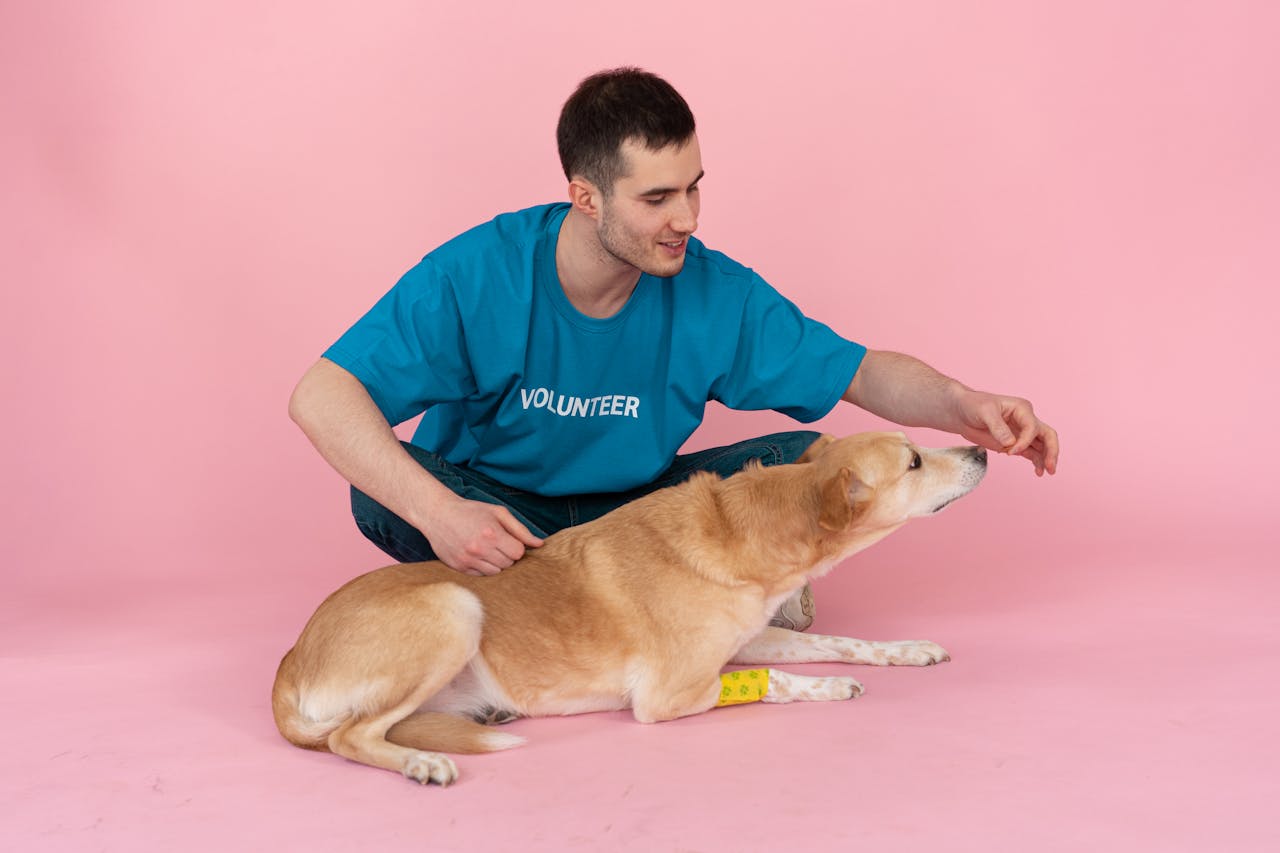 services-01 A volunteer in a blue shirt feeds a dog in a pink studio setting, showcasing care and love.