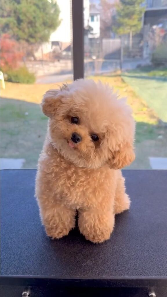 06e487a3302dc3dc3a1a568f6216ea78