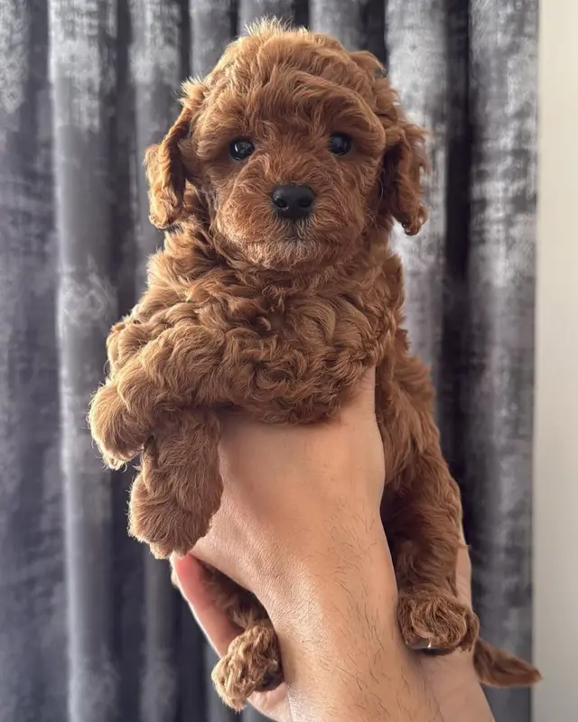 photo 2025 05 10 19 34 33 d72430c52f