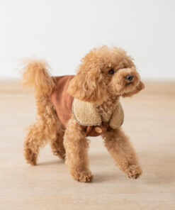 rehome your toy poodle soy