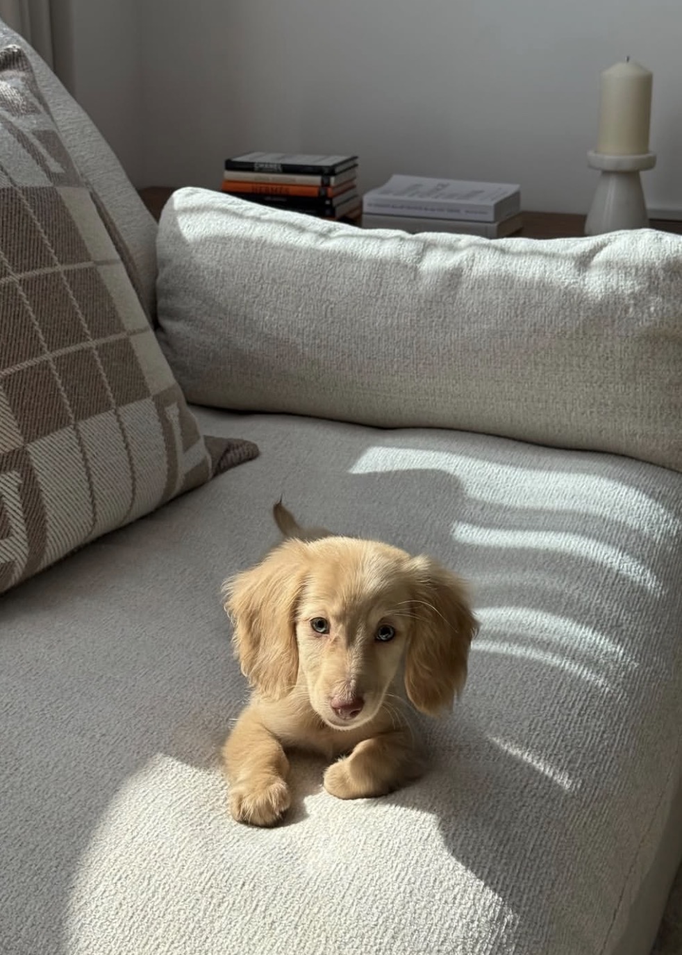 auto draft auto draft